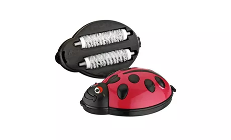 UĞUR BÖCEĞİ İKİLİ GIRGIR